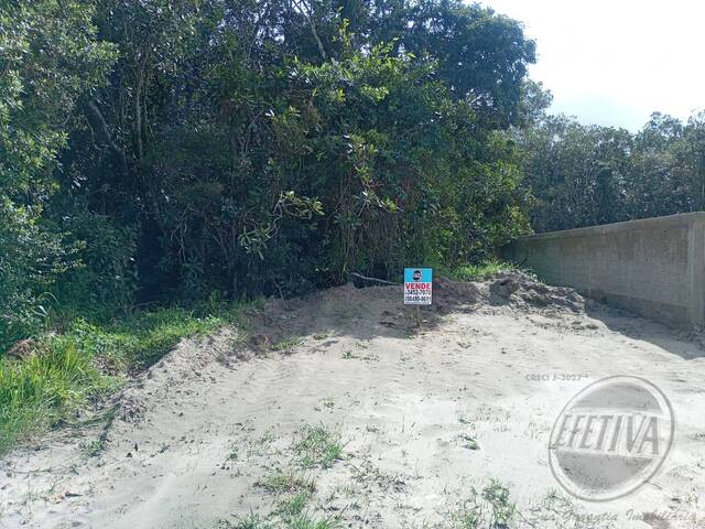 #715T - Terreno para Venda em Matinhos - PR - 3