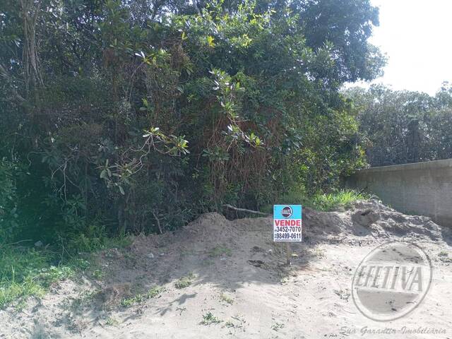 #715T - Terreno para Venda em Matinhos - PR - 1