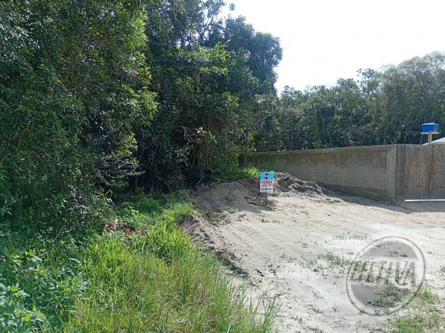 #715T - Terreno para Venda em Matinhos - PR - 2