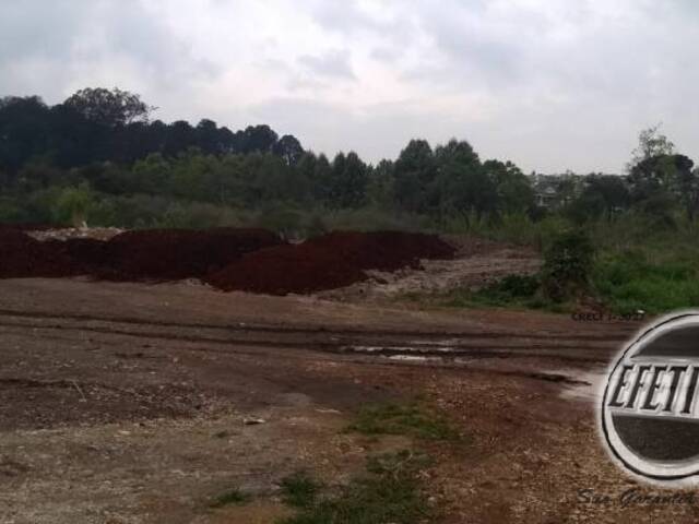 Área para Venda em Colombo - 5