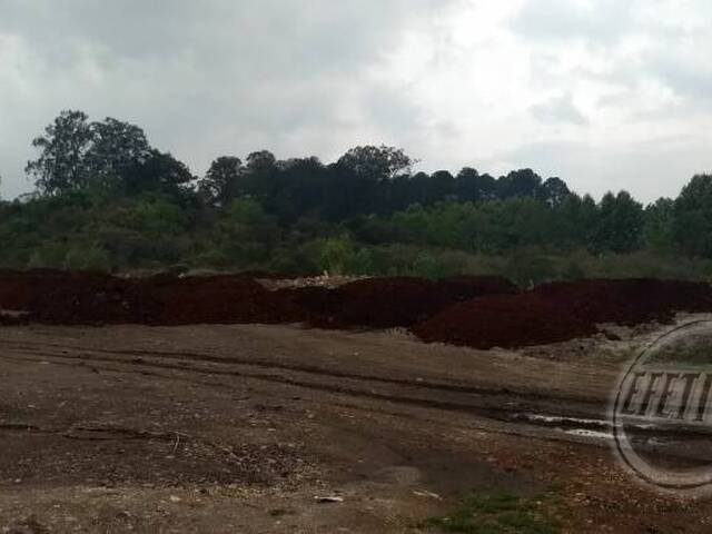 Área para Venda em Guaraituba - 6