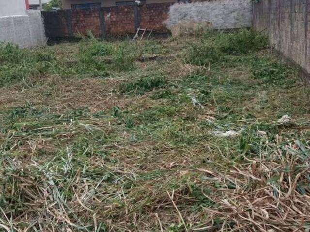Área para Venda em Guaratuba - 4