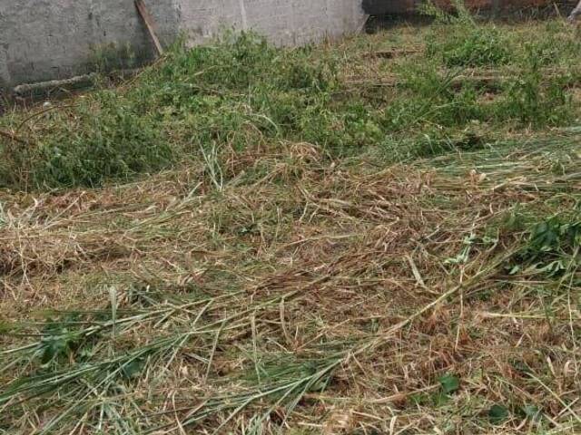 Área para Venda em Guaratuba - 5