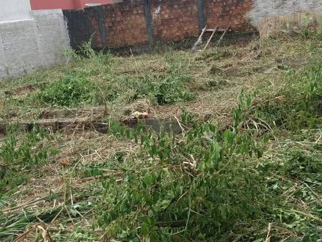 Área para Venda em Nereidas - 6