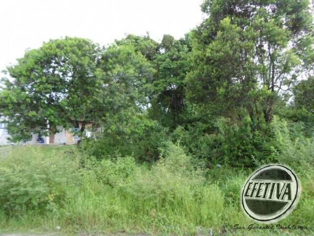 Terreno para Venda em Guaratuba - 5