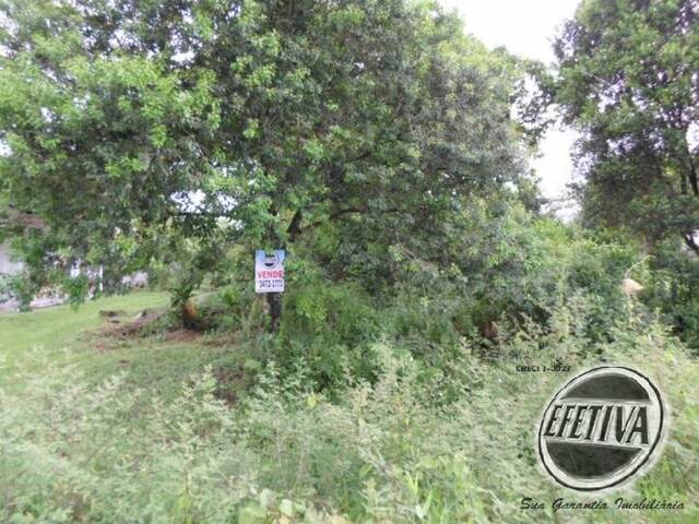 Terreno para Venda em Guaratuba - 1