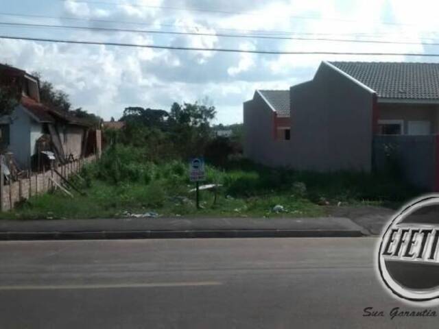 Terreno para Venda em Piraquara - 4