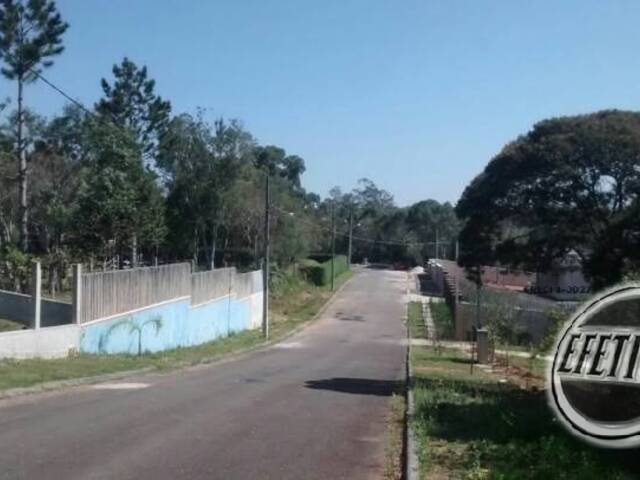 Chácara para Venda em São José dos Pinhais - 5