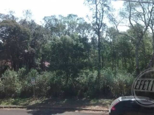 CHACARA 3749M² 