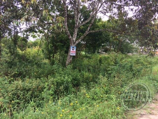 Área para Venda em Guaratuba - 1