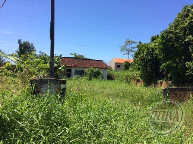 Terreno para Venda em Guaratuba - 4
