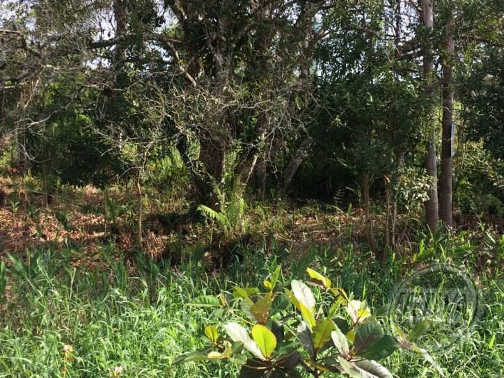 Terreno para Venda em Guaratuba - 1