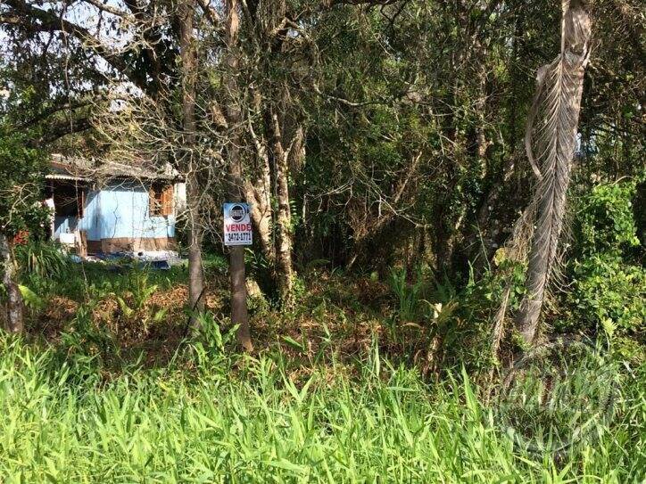 Terreno para Venda em Guaratuba - 2