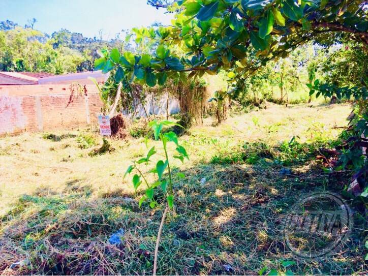 Área para Venda em Guaratuba - 2