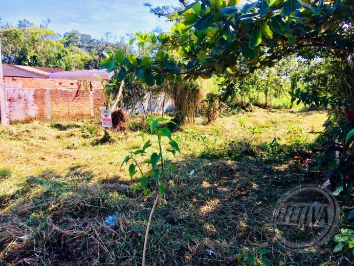Área para Venda em Guaratuba - 3