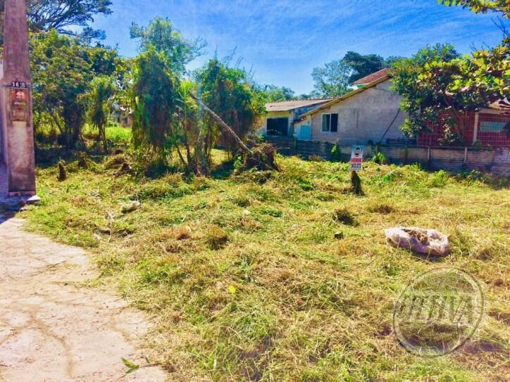 Área para Venda em Guaratuba - 4