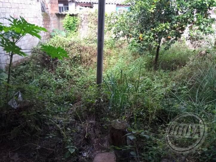 Casa para Venda em Guaratuba - 7