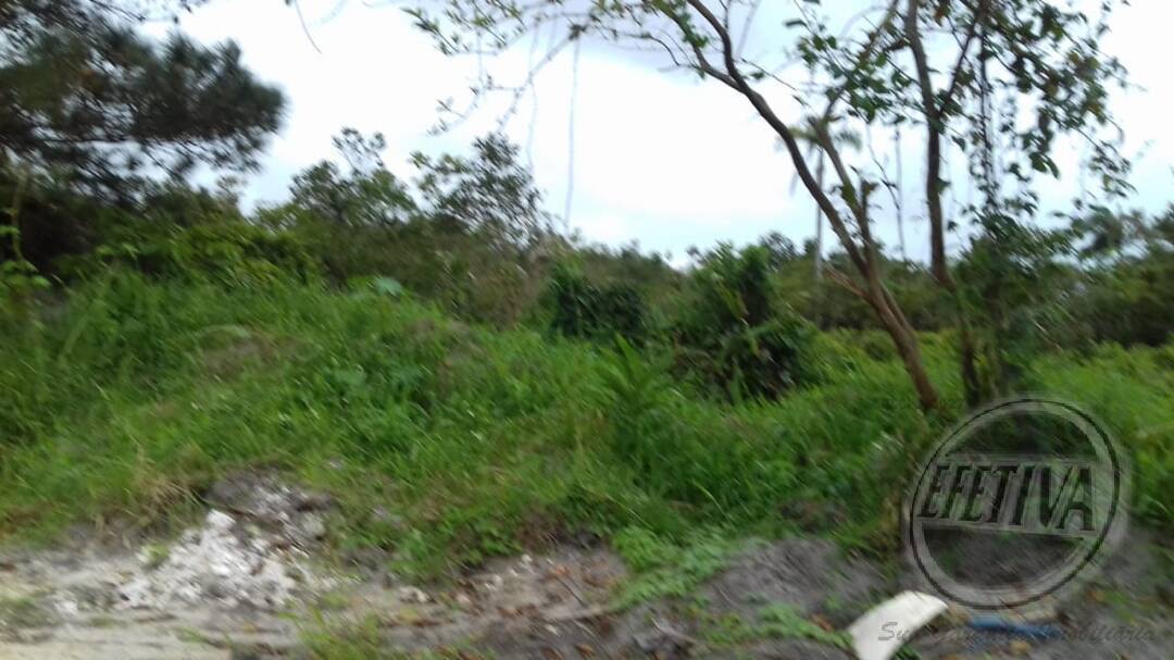 Terreno para Venda em Guaratuba - 3