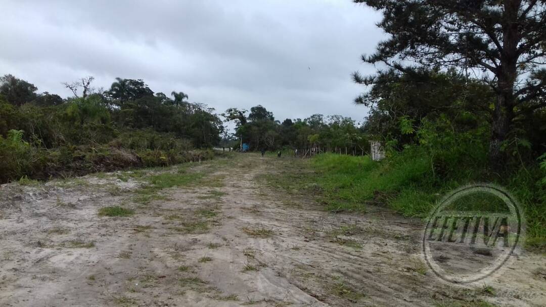 Terreno para Venda em Guaratuba - 2