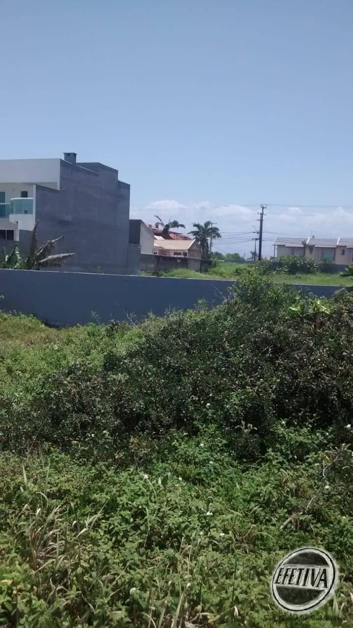 imovel