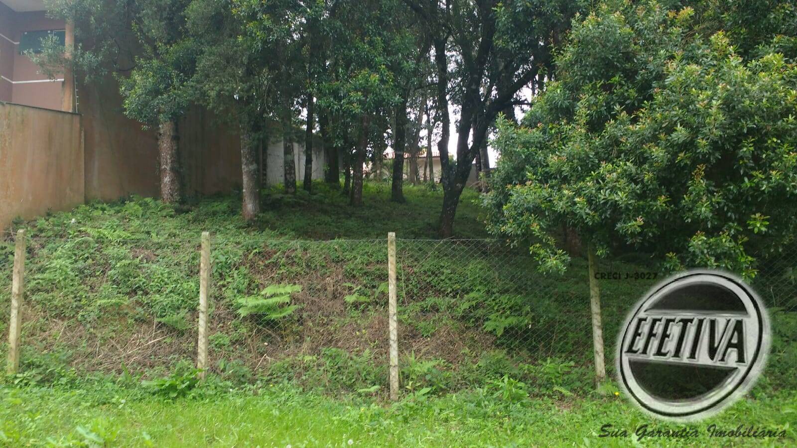 TERRENO 495 m²- SANTA FELICIDADE - CURITIBA