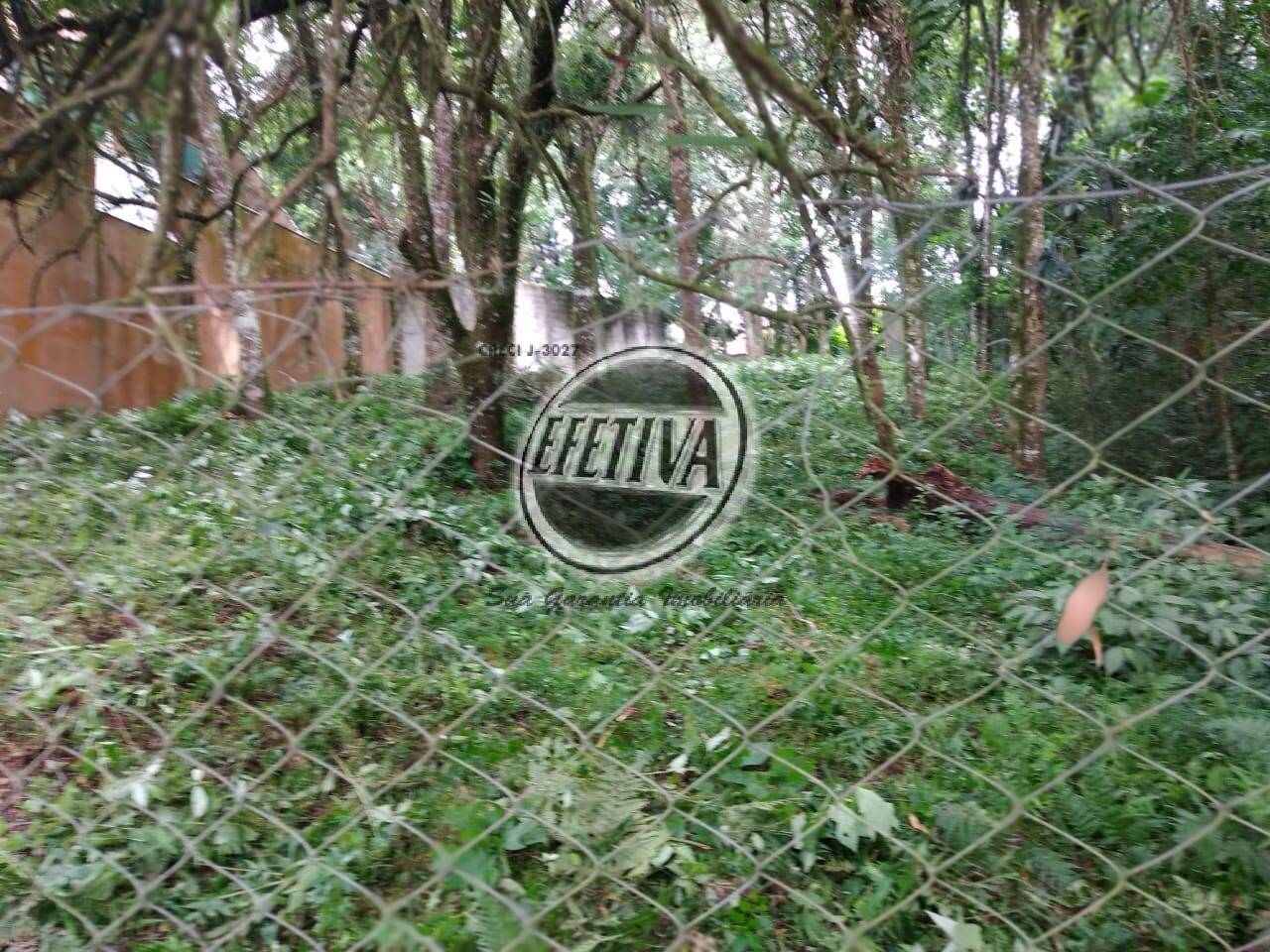imovel