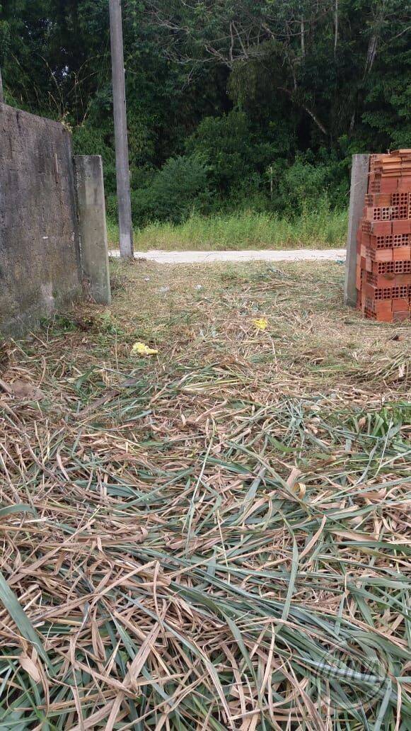 Área para Venda em Guaratuba - 2