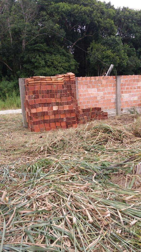 Área para Venda em Guaratuba - 3