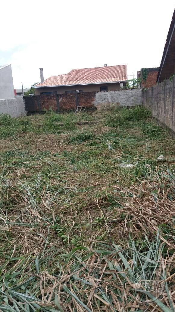 Área para Venda em Guaratuba - 4