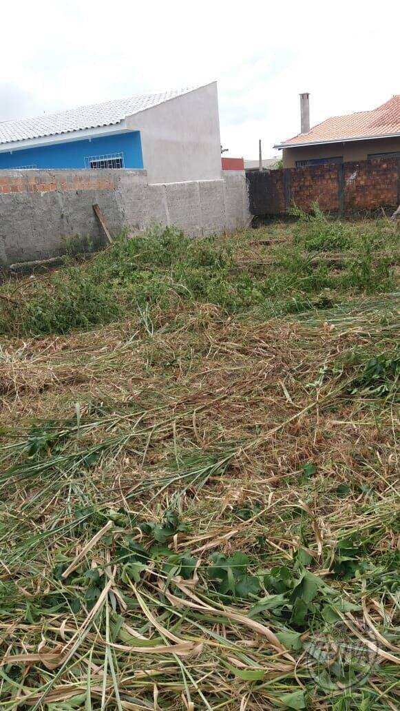 Área para Venda em Guaratuba - 5