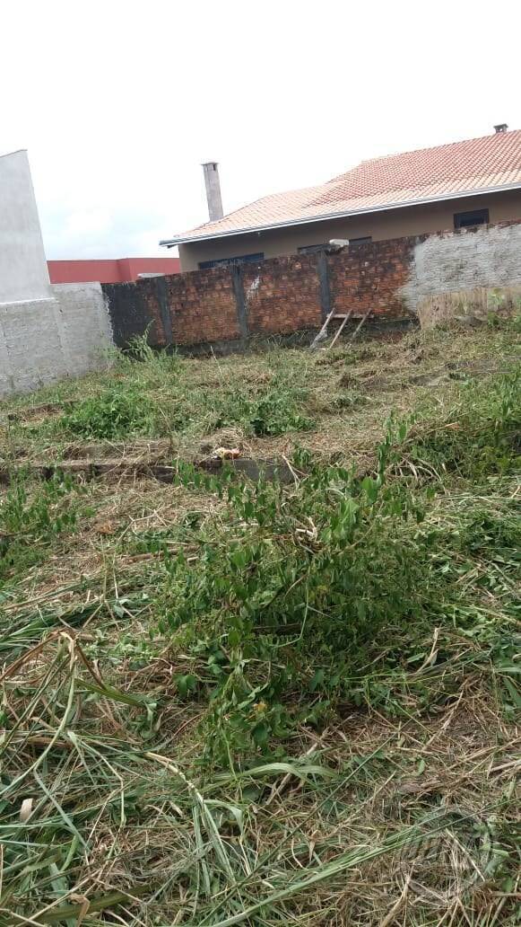 Área para Venda em Guaratuba - 6