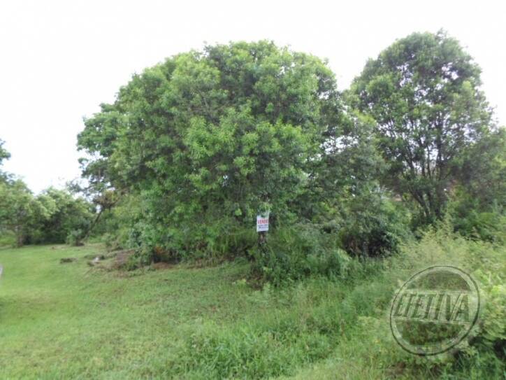 Terreno para Venda em Guaratuba - 1