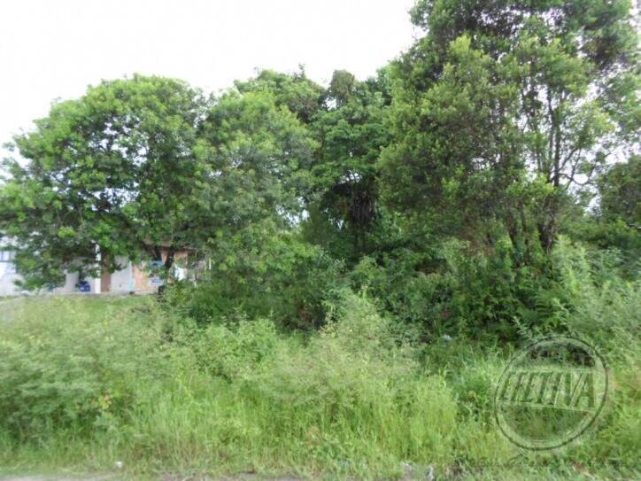 Terreno para Venda em Guaratuba - 2