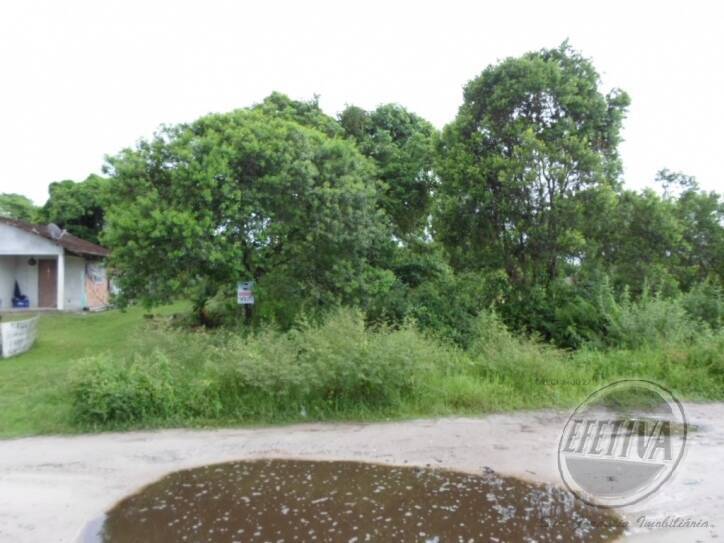 Terreno para Venda em Guaratuba - 5