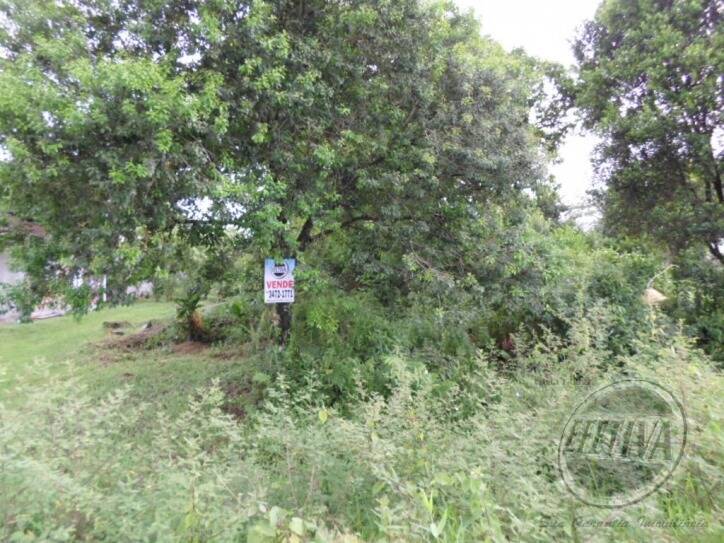 Terreno para Venda em Guaratuba - 6