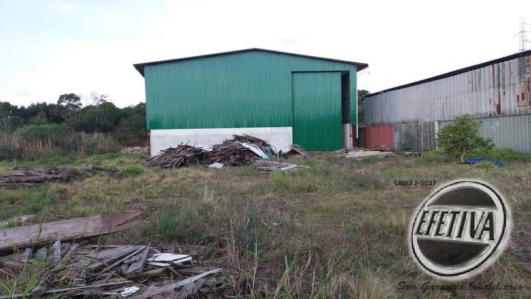 Paraná - Araucária, Thomaz Coelho,  (Aluguel)