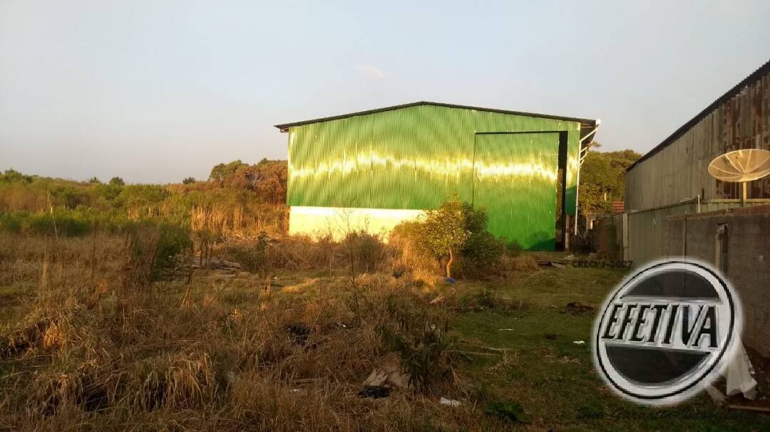 Paraná - Araucária, Thomaz Coelho,  (Aluguel)